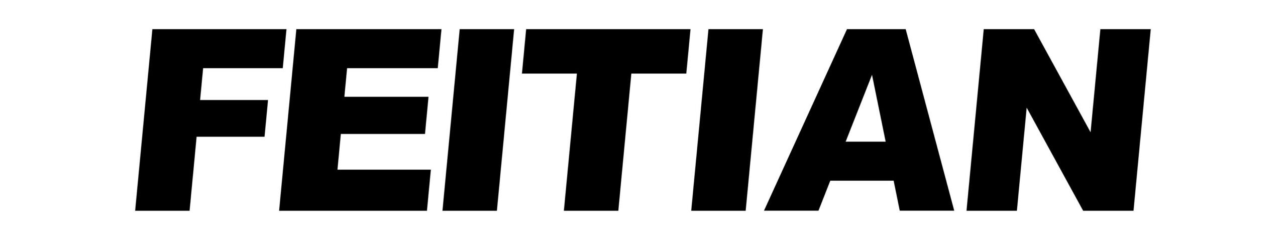 FIDO Certified Showcase | Feitian Logo